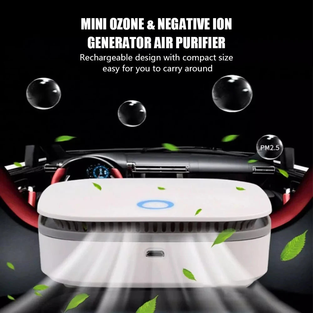 Portable Air Purifier