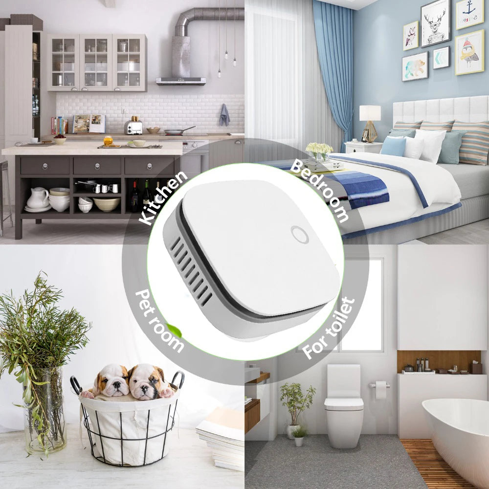Portable Air Purifier